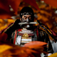 Ghost of Tsushima
